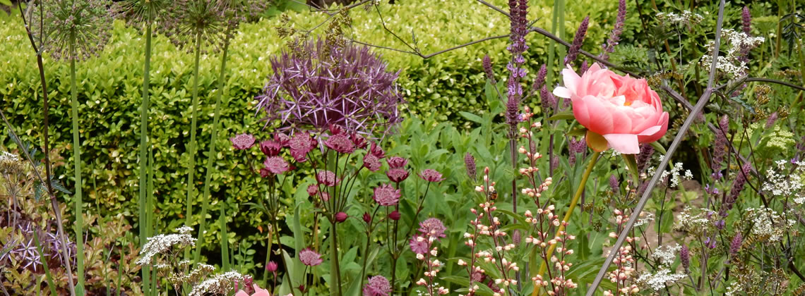 garden designer derbyshire