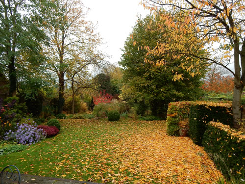 garden landscape designer derbyshire