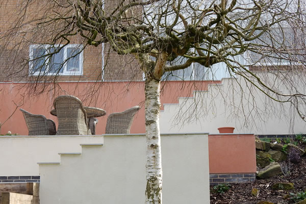 A garden design with Mediterranean colour